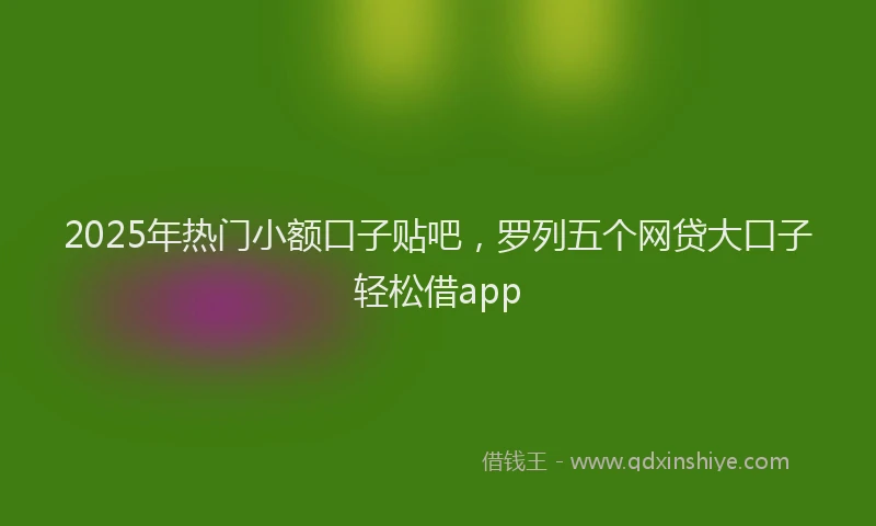 2025年热门小额口子贴吧，罗列五个网贷大口子轻松借app