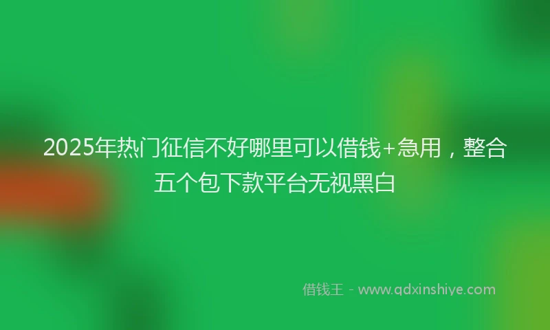 2025年热门征信不好哪里可以借钱+急用，整合五个包下款平台无视黑白
