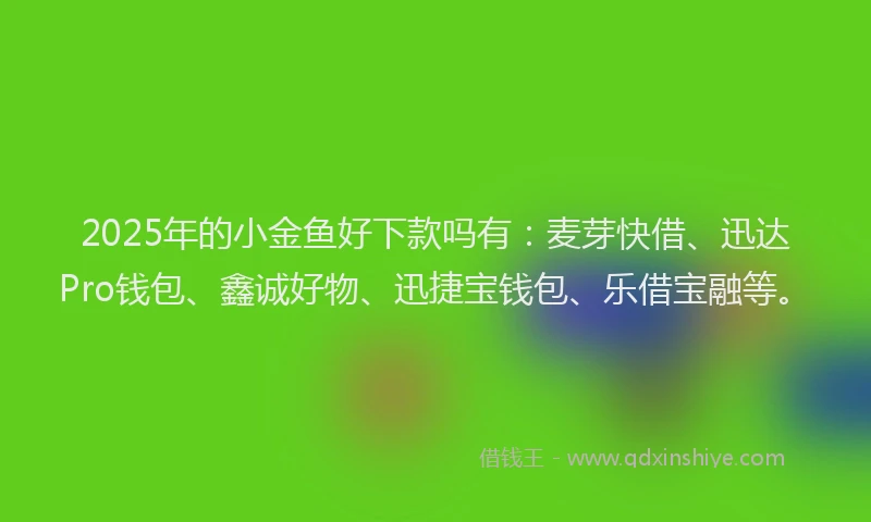 2025年的小金鱼好下款吗有：麦芽快借、迅达Pro钱包、鑫诚好物、迅捷宝钱包、乐借宝融等。