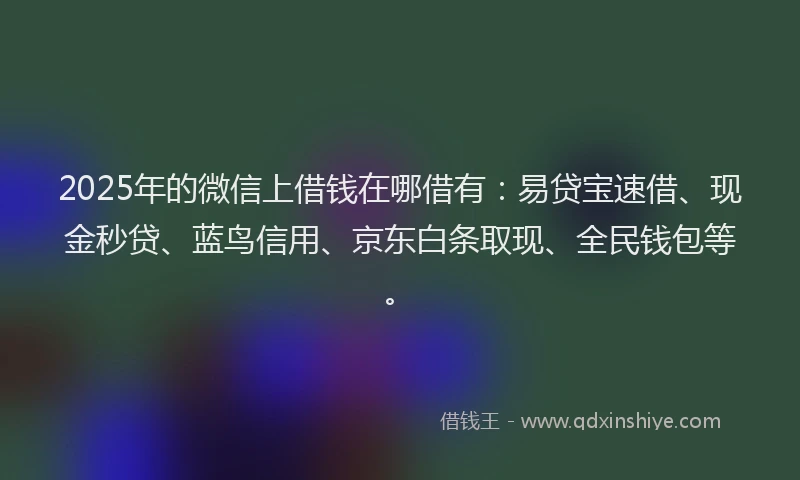 2025年的微信上借钱在哪借有：易贷宝速借、现金秒贷、蓝鸟信用、京东白条取现、全民钱包等。