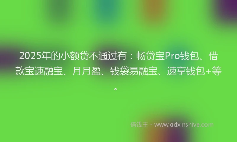 2025年的小额贷不通过有：畅贷宝Pro钱包、借款宝速融宝、月月盈、钱袋易融宝、速享钱包+等。