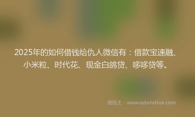 2025年的如何借钱给仇人微信有：借款宝速融、小米粒、时代花、现金白鸽贷、哆哆贷等。