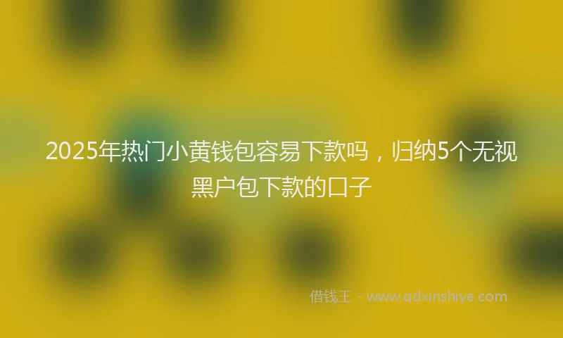 2025年热门小黄钱包容易下款吗，归纳5个无视黑户包下款的口子