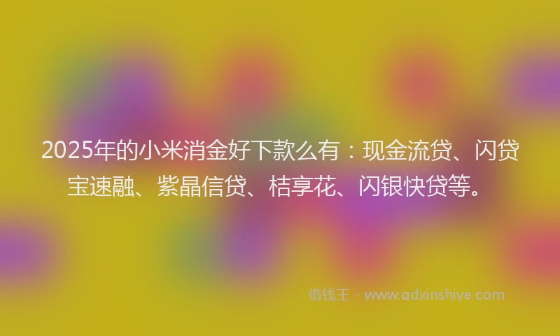 2025年的小米消金好下款么有：现金流贷、闪贷宝速融、紫晶信贷、桔享花、闪银快贷等。