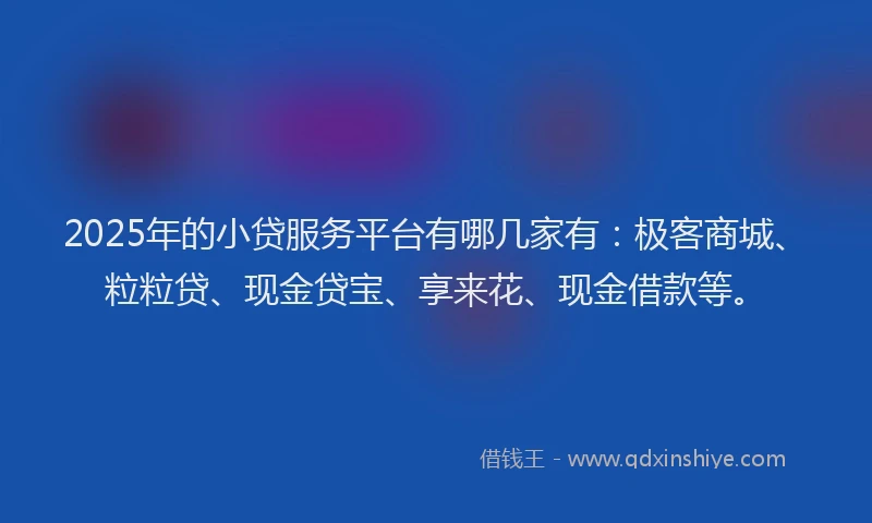2025年的小贷服务平台有哪几家有：极客商城、粒粒贷、现金贷宝、享来花、现金借款等。
