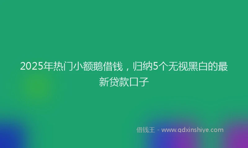 2025年热门小额鹅借钱，归纳5个无视黑白的最新贷款口子