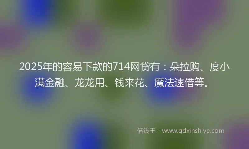 2025年的容易下款的714网贷有：朵拉购、度小满金融、龙龙用、钱来花、魔法速借等。