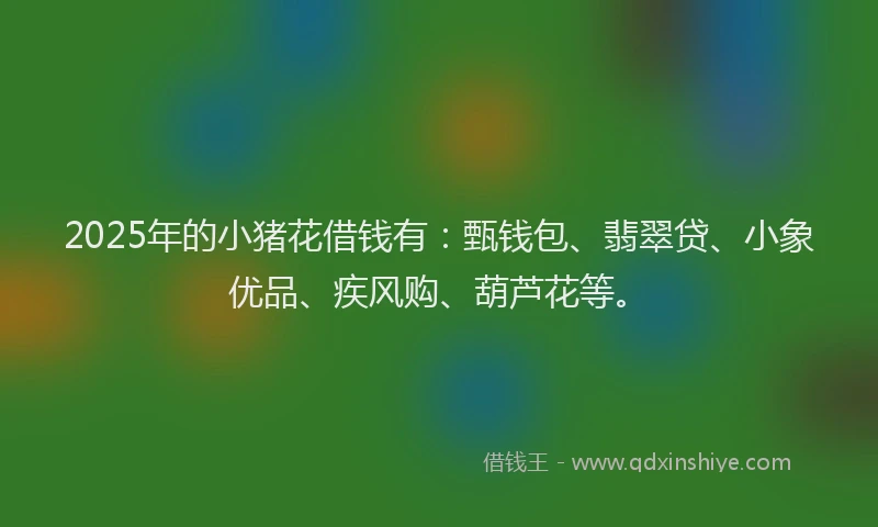 2025年的小猪花借钱有：甄钱包、翡翠贷、小象优品、疾风购、葫芦花等。