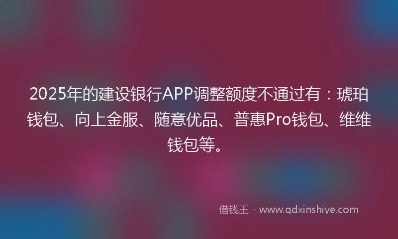 2025年的建设银行APP调整额度不通过有：琥珀钱包、向上金服、随意优品、普惠Pro钱包、维维钱包等。
