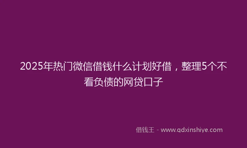 2025年热门微信借钱什么计划好借，整理5个不看负债的网贷口子