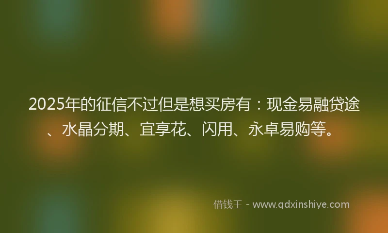 2025年的征信不过但是想买房有：现金易融贷途、水晶分期、宜享花、闪用、永卓易购等。