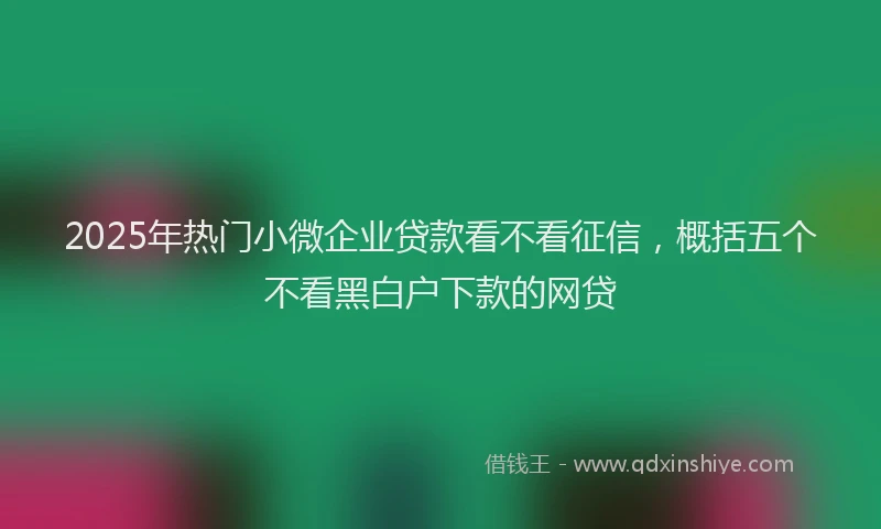2025年热门小微企业贷款看不看征信，概括五个不看黑白户下款的网贷