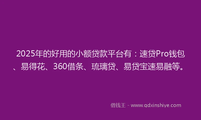 2025年的好用的小额贷款平台有：速贷Pro钱包、易得花、360借条、琉璃贷、易贷宝速易融等。