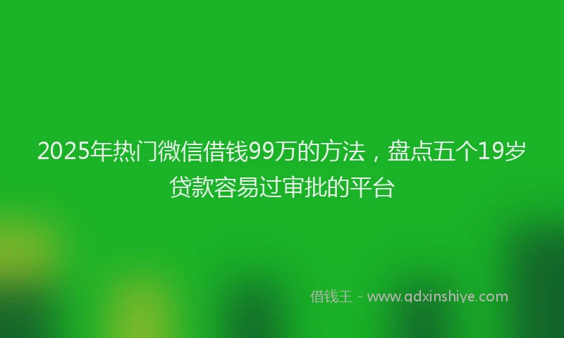 2025年热门微信借钱99万的方法，盘点五个19岁贷款容易过审批的平台