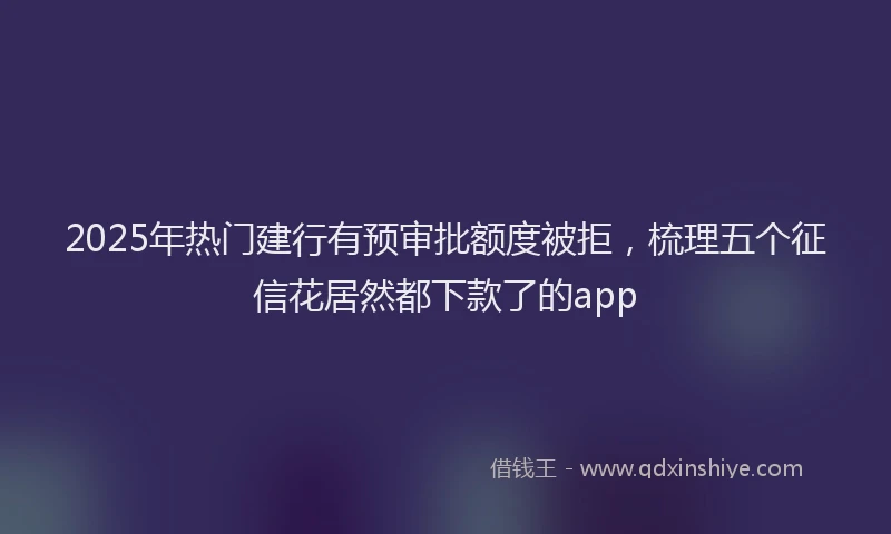 2025年热门建行有预审批额度被拒，梳理五个征信花居然都下款了的app
