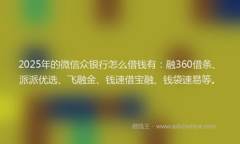 2025年的微信众银行怎么借钱有：融360借条、派派优选、飞融金、钱速借宝融、钱袋速易等。