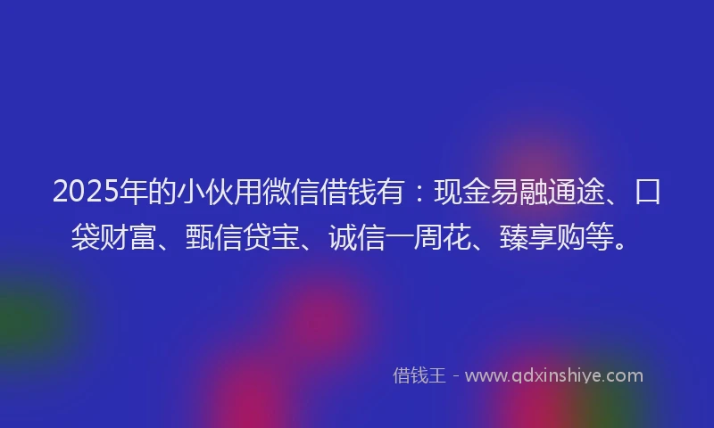 2025年的小伙用微信借钱有：现金易融通途、口袋财富、甄信贷宝、诚信一周花、臻享购等。