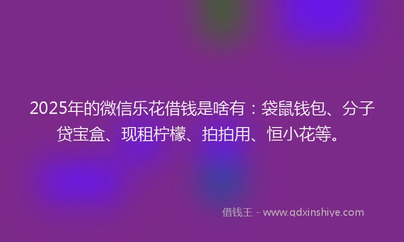 2025年的微信乐花借钱是啥有：袋鼠钱包、分子贷宝盒、现租柠檬、拍拍用、恒小花等。
