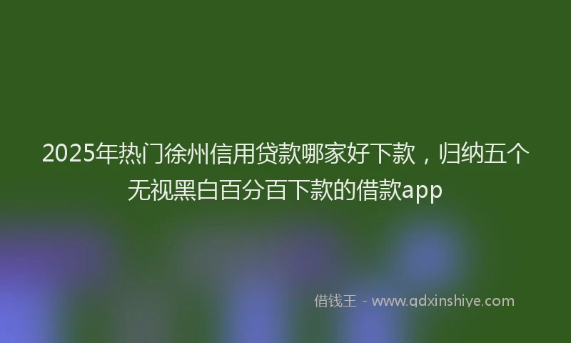 2025年热门徐州信用贷款哪家好下款，归纳五个无视黑白百分百下款的借款app
