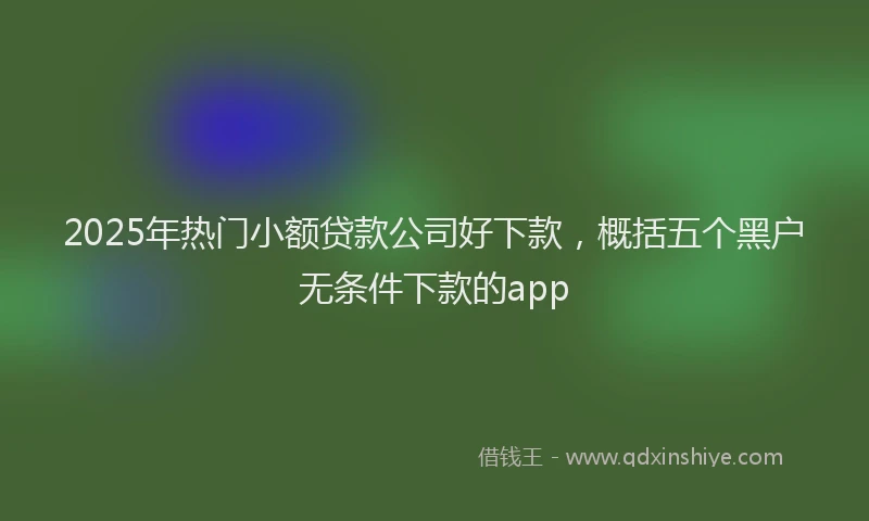 2025年热门小额贷款公司好下款，概括五个黑户无条件下款的app