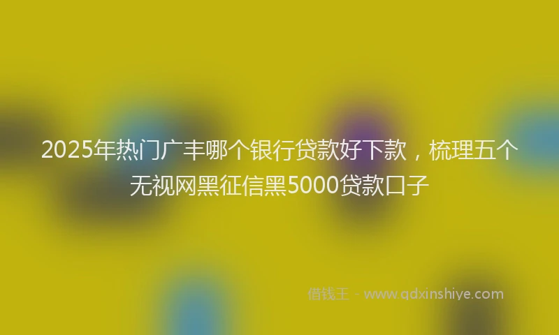 2025年热门广丰哪个银行贷款好下款，梳理五个无视网黑征信黑5000贷款口子