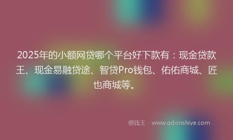 2025年的小额网贷哪个平台好下款有：现金贷款王、现金易融贷途、智贷Pro钱包、佑佑商城、匠也商城等。