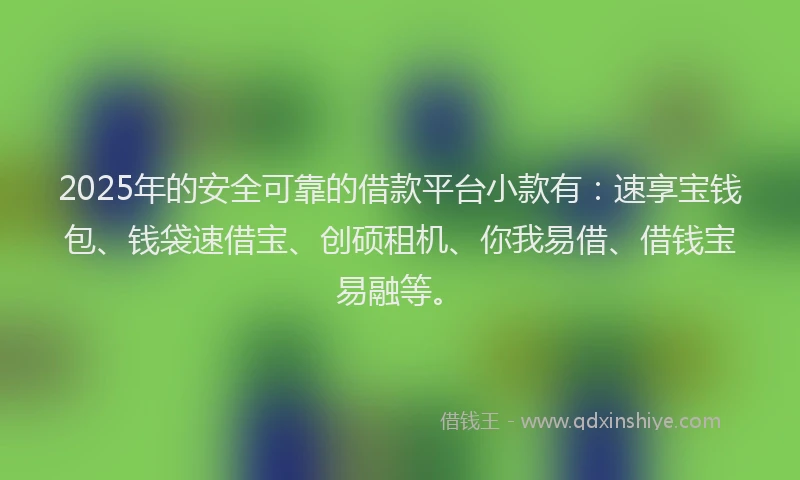 2025年的安全可靠的借款平台小款有：速享宝钱包、钱袋速借宝、创硕租机、你我易借、借钱宝易融等。
