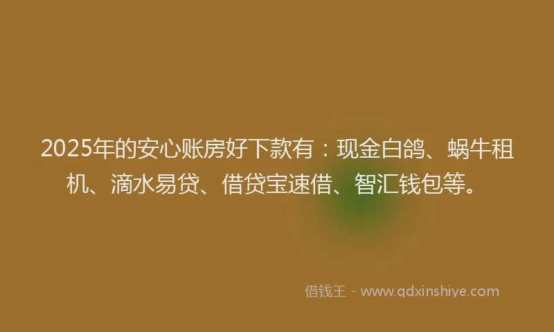 2025年的安心账房好下款有：现金白鸽、蜗牛租机、滴水易贷、借贷宝速借、智汇钱包等。
