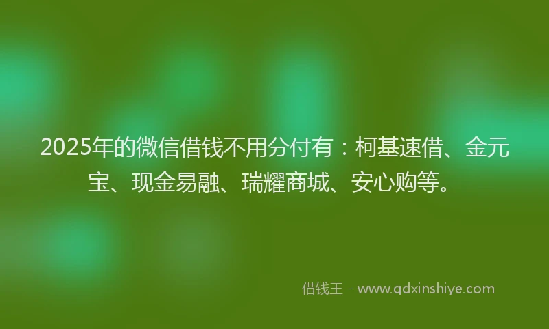 2025年的微信借钱不用分付有：柯基速借、金元宝、现金易融、瑞耀商城、安心购等。