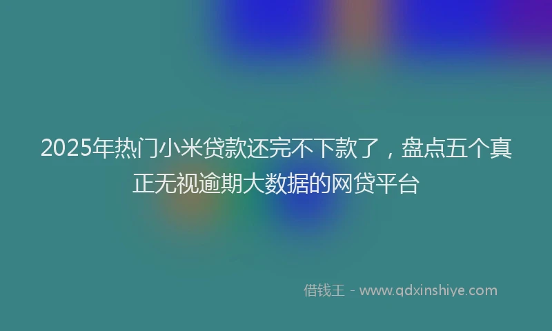2025年热门小米贷款还完不下款了，盘点五个真正无视逾期大数据的网贷平台