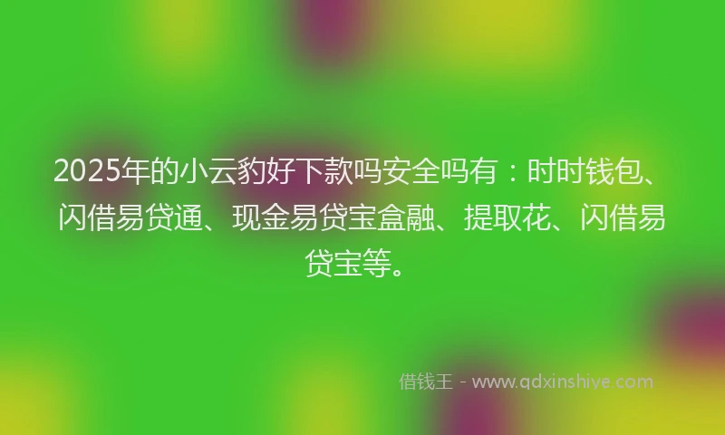 2025年的小云豹好下款吗安全吗有：时时钱包、闪借易贷通、现金易贷宝盒融、提取花、闪借易贷宝等。
