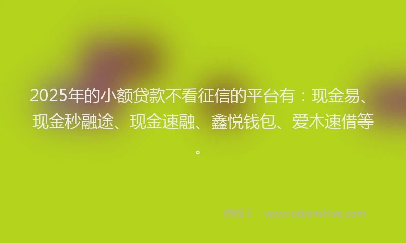 2025年的小额贷款不看征信的平台有：现金易、现金秒融途、现金速融、鑫悦钱包、爱木速借等。