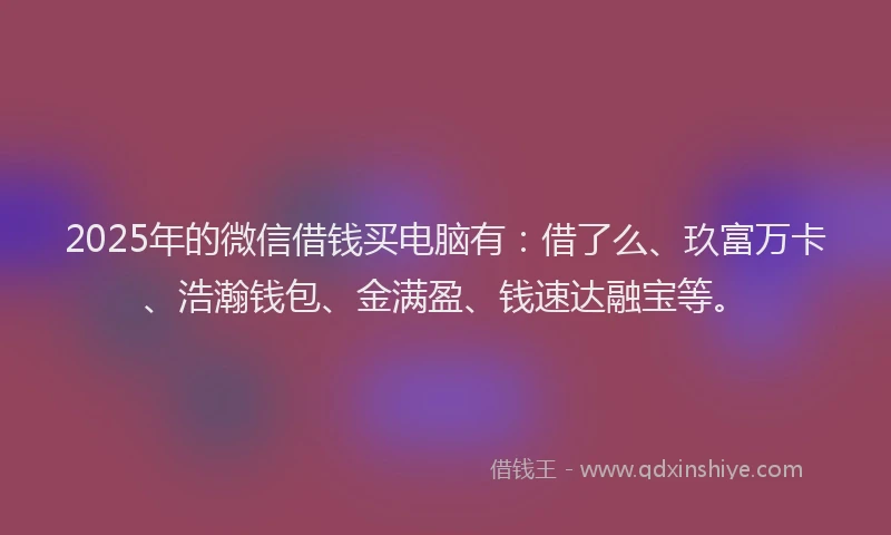 2025年的微信借钱买电脑有：借了么、玖富万卡、浩瀚钱包、金满盈、钱速达融宝等。