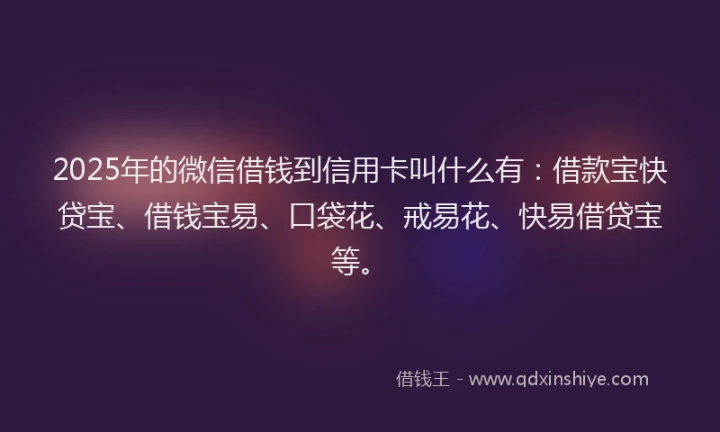 2025年的微信借钱到信用卡叫什么有：借款宝快贷宝、借钱宝易、口袋花、戒易花、快易借贷宝等。