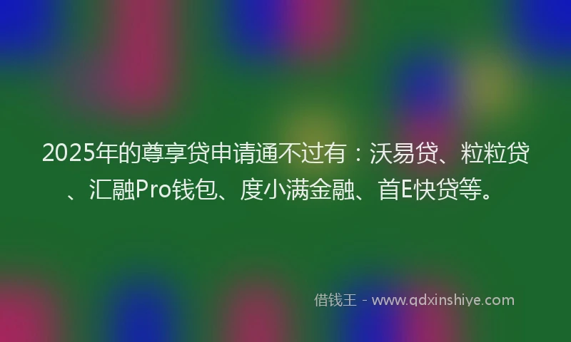 2025年的尊享贷申请通不过有：沃易贷、粒粒贷、汇融Pro钱包、度小满金融、首E快贷等。