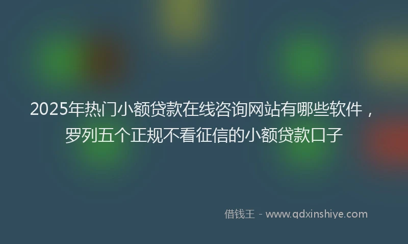 2025年热门小额贷款在线咨询网站有哪些软件，罗列五个正规不看征信的小额贷款口子