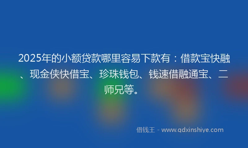 2025年的小额贷款哪里容易下款有：借款宝快融、现金侠快借宝、珍珠钱包、钱速借融通宝、二师兄等。