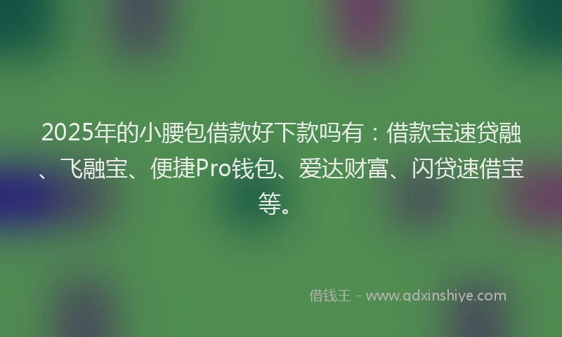 2025年的小腰包借款好下款吗有：借款宝速贷融、飞融宝、便捷Pro钱包、爱达财富、闪贷速借宝等。