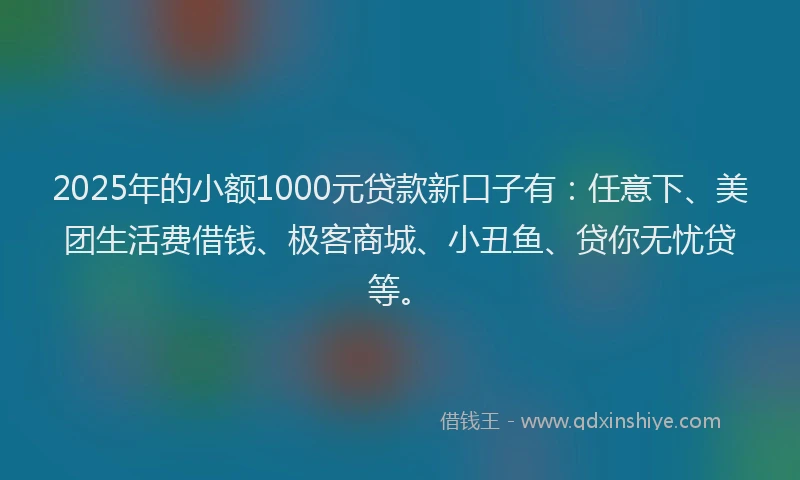2025年的小额1000元贷款新口子有：任意下、美团生活费借钱、极客商城、小丑鱼、贷你无忧贷等。
