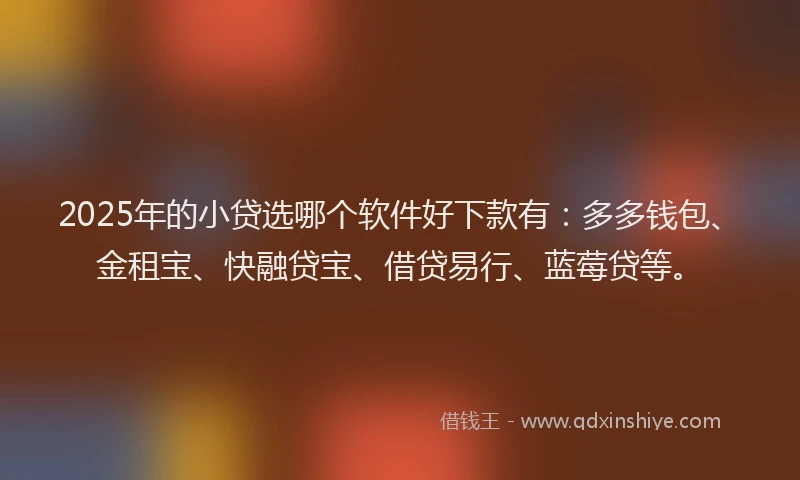 2025年的小贷选哪个软件好下款有：多多钱包、金租宝、快融贷宝、借贷易行、蓝莓贷等。