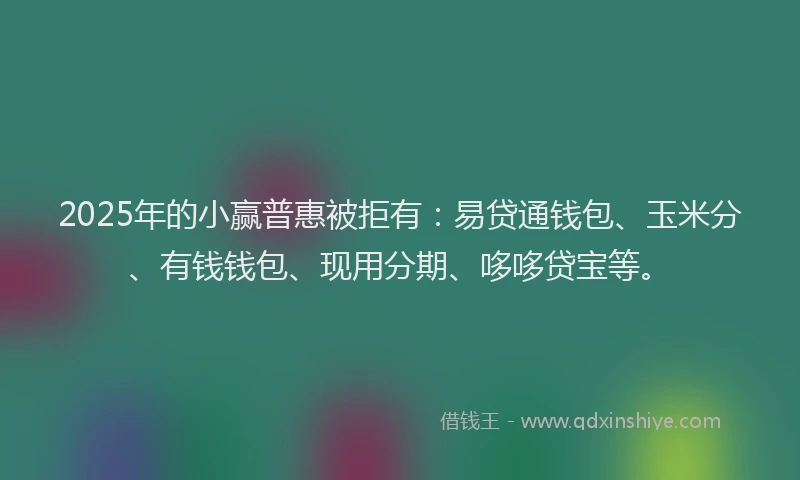 2025年的小赢普惠被拒有：易贷通钱包、玉米分、有钱钱包、现用分期、哆哆贷宝等。