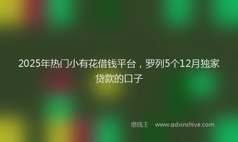 2025年热门小有花借钱平台，罗列5个12月独家贷款的口子