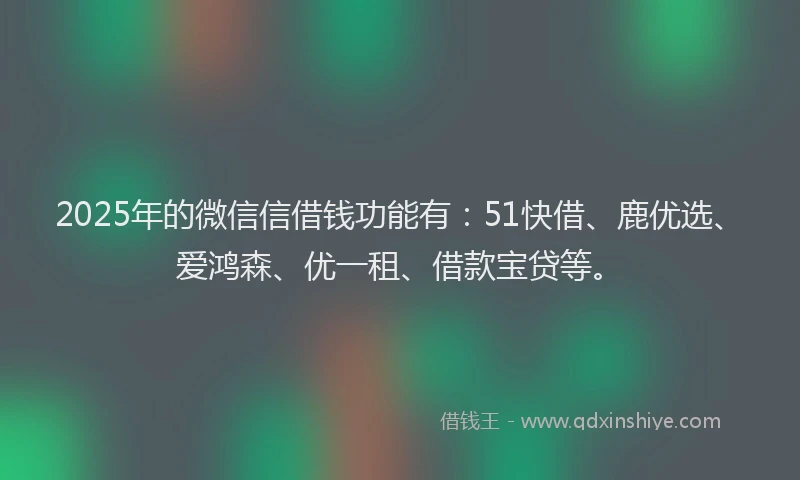 2025年的微信信借钱功能有：51快借、鹿优选、爱鸿森、优一租、借款宝贷等。