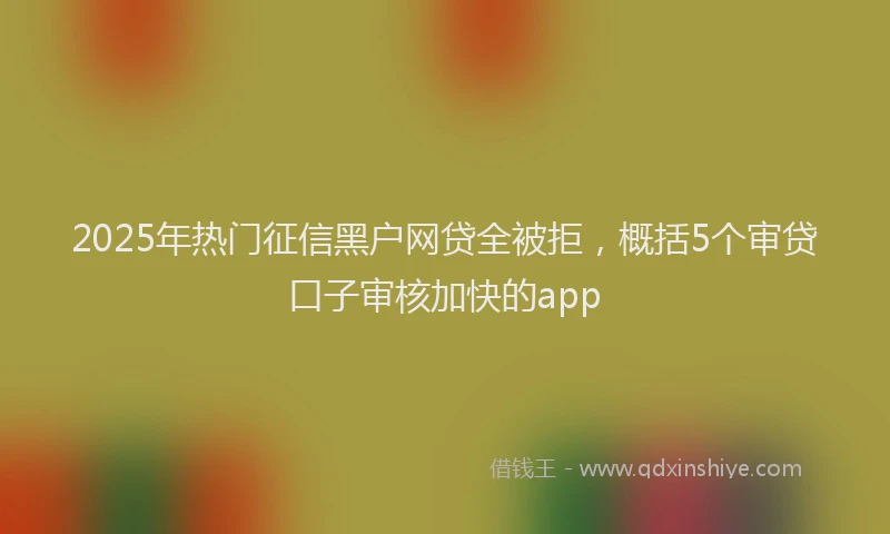 2025年热门征信黑户网贷全被拒，概括5个审贷口子审核加快的app