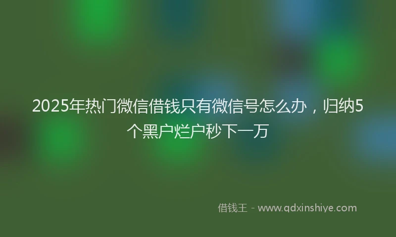 2025年热门微信借钱只有微信号怎么办，归纳5个黑户烂户秒下一万
