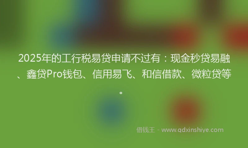 2025年的工行税易贷申请不过有：现金秒贷易融、鑫贷Pro钱包、信用易飞、和信借款、微粒贷等。