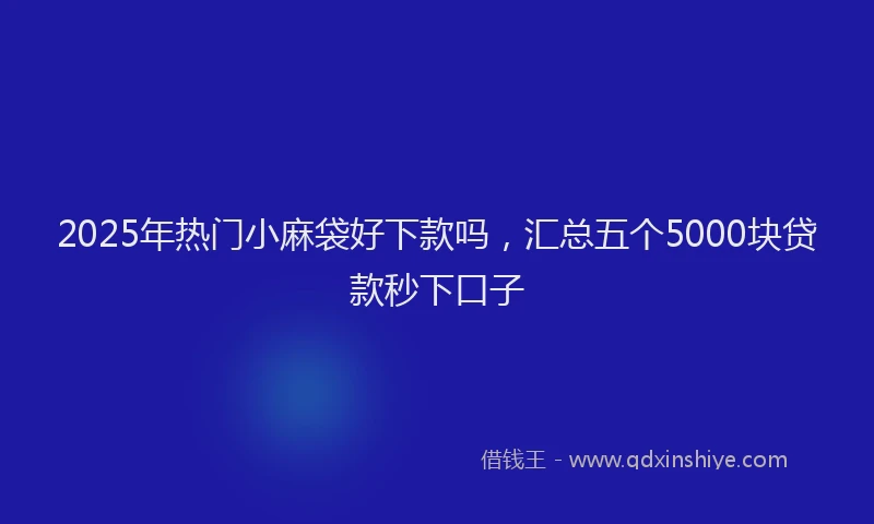 2025年热门小麻袋好下款吗，汇总五个5000块贷款秒下口子