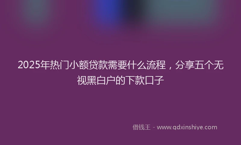 2025年热门小额贷款需要什么流程，分享五个无视黑白户的下款口子