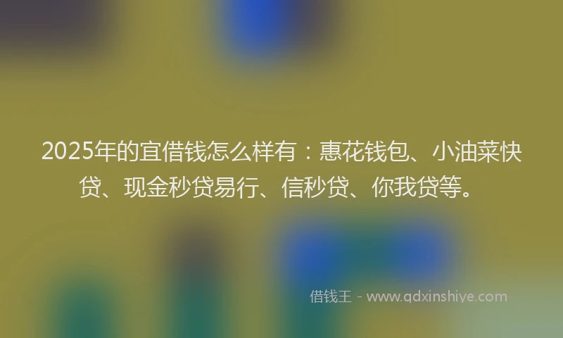 2025年的宜借钱怎么样有：惠花钱包、小油菜快贷、现金秒贷易行、信秒贷、你我贷等。