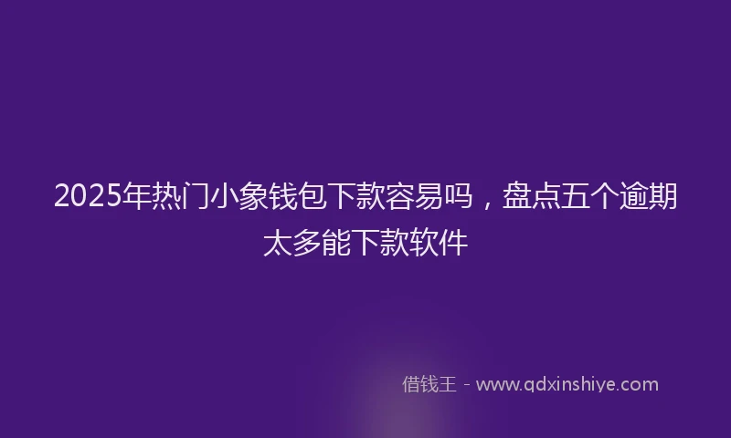2025年热门小象钱包下款容易吗，盘点五个逾期太多能下款软件